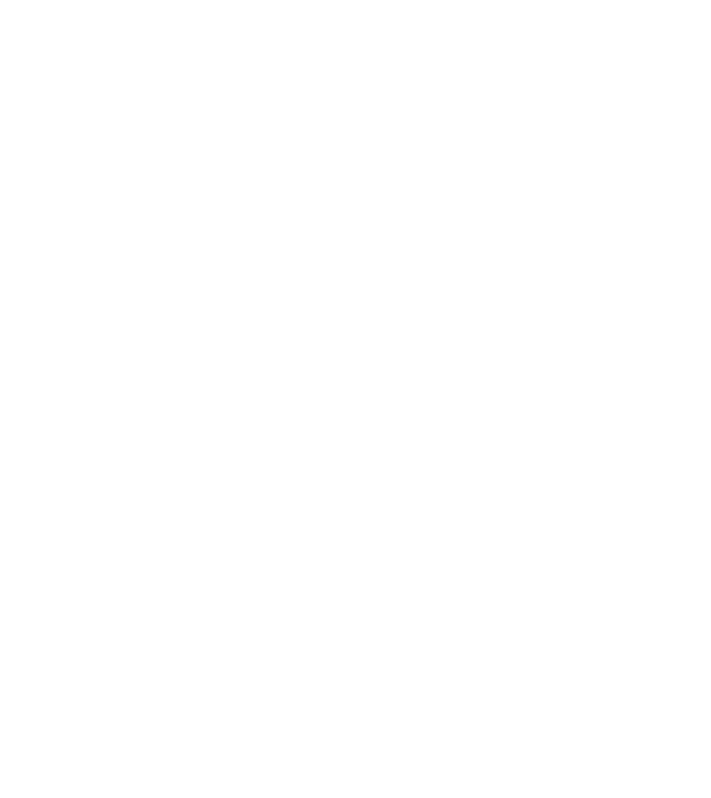 Logo Ca Foscari Fondazione
